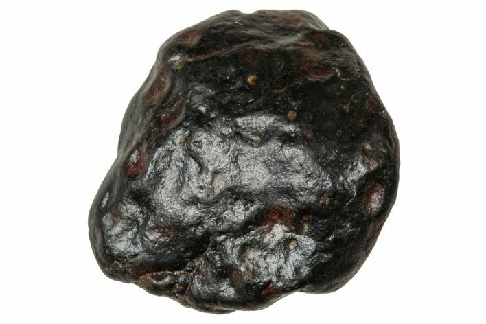 Carbonaceous Chondrite Meteorite ( g) - NWA #334499